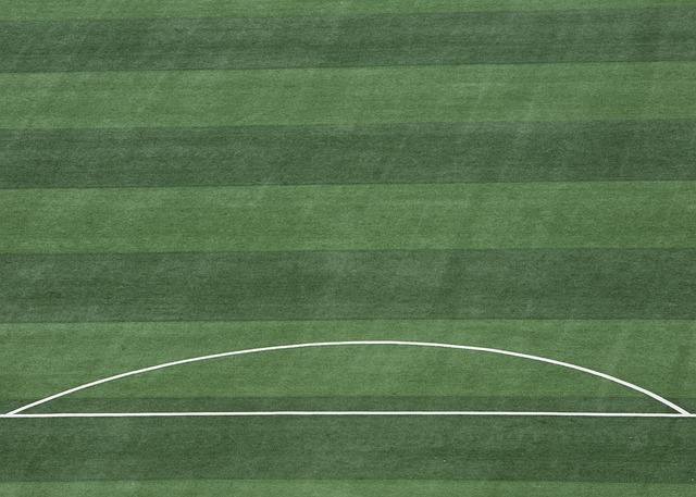 这为更多本 这为更多本