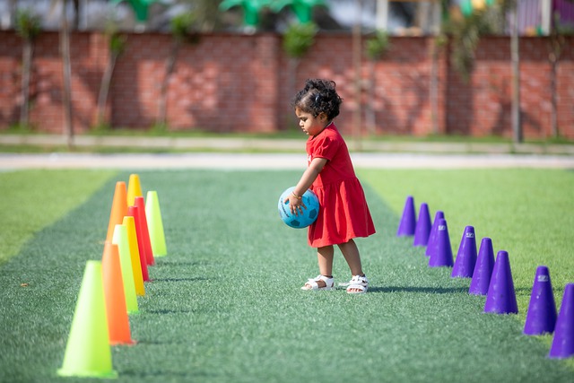 提供了有力 提供了有力