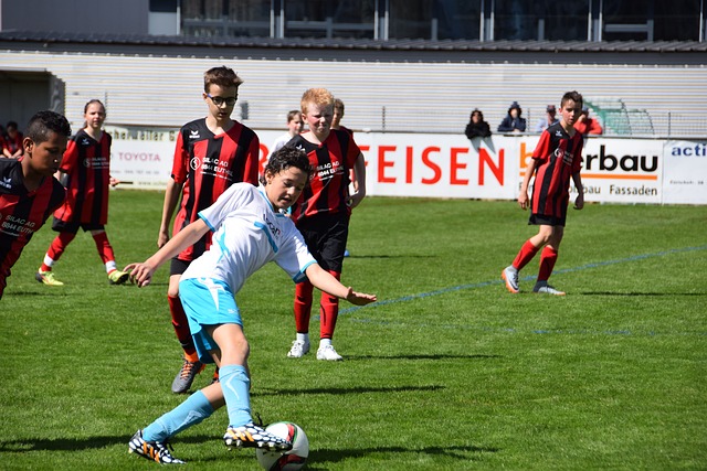 特点对整体 特点对整体