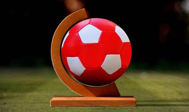 虽然受伤严 虽然受伤严