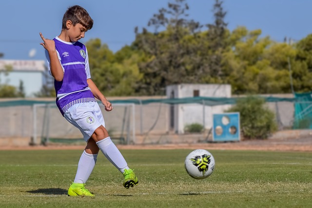 阿丽塔造型 阿丽塔造型