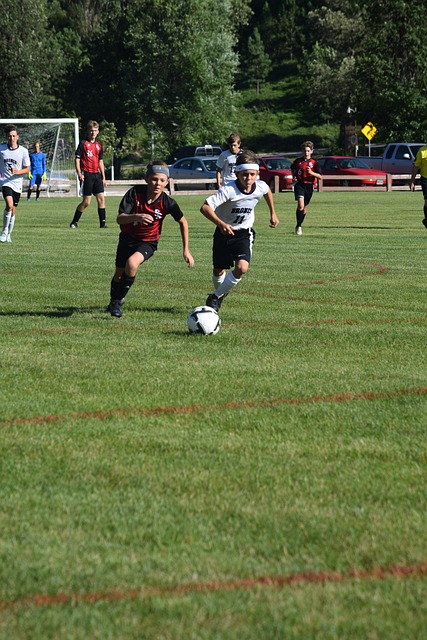 到质的提升 到质的提升