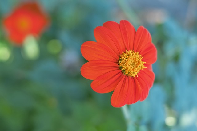 的培养环境 的培养环境